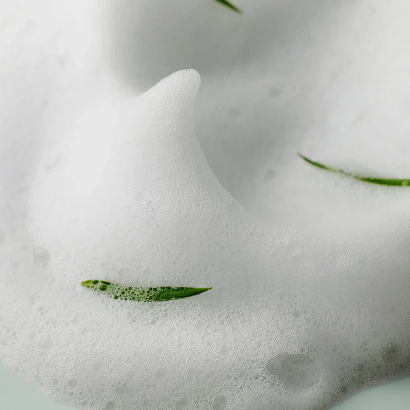 AHA-BHA-PHA 30 DAYS MIRACLE ACNE CLEAR FOAM 100 ML